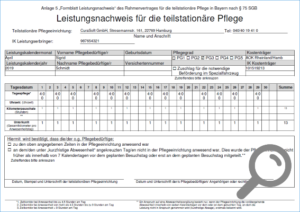 Alternativer Leistungsnachweisdruck: Leistungsnachweis Tagespflege Bayern